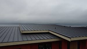 Sheet Metal Roofing in Seneca Knolls, NY